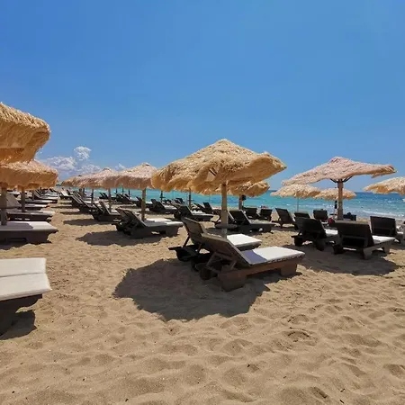 Samana C Con Privata A לינה וארוחת בוקר פונטה פרושוטו